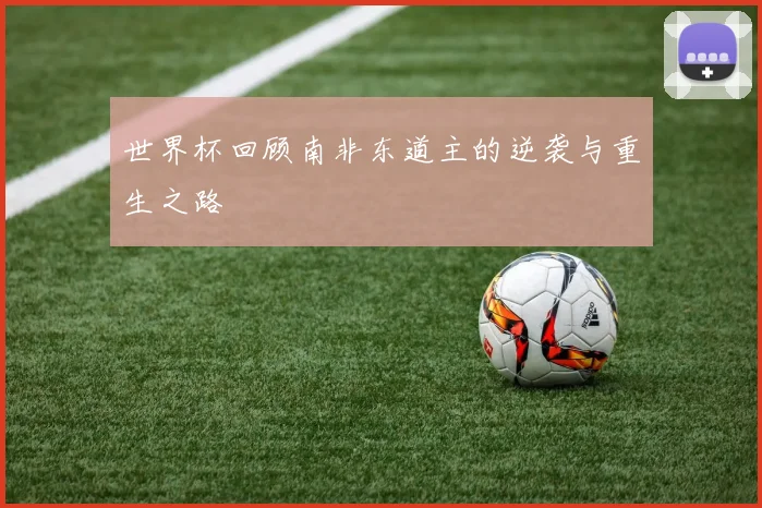 世界杯回顾南非东道主的逆袭与重生之路